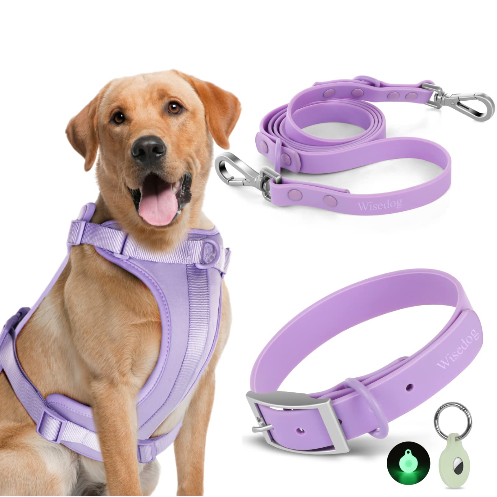 PETS COLLAR AND HARNESS