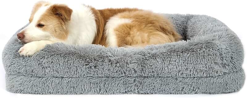 PETS BED